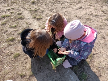 IMG-20260504-WA0009